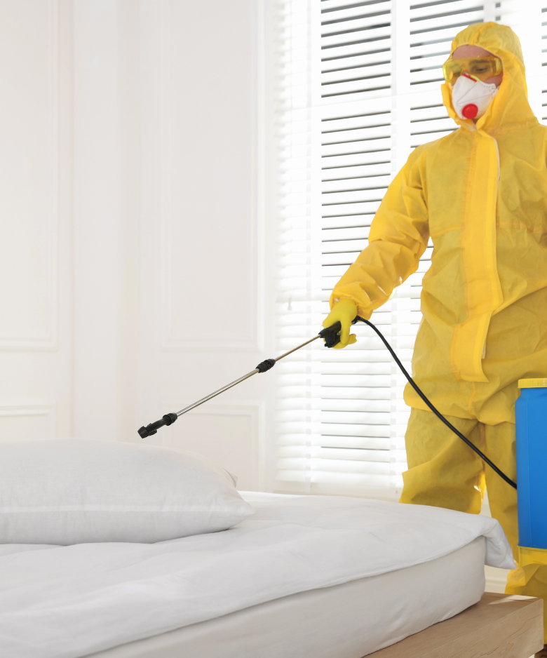 Professional Pest Control Team in Heathfield